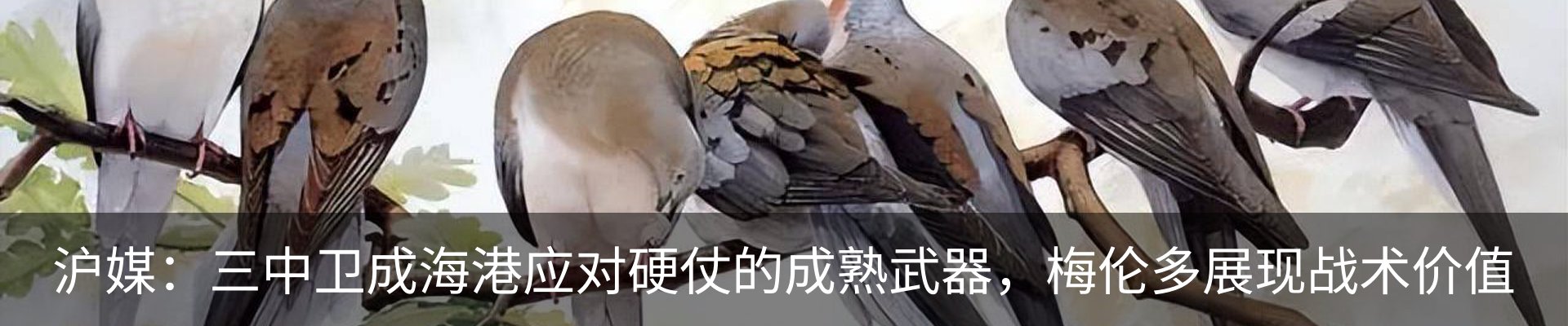 最新动态